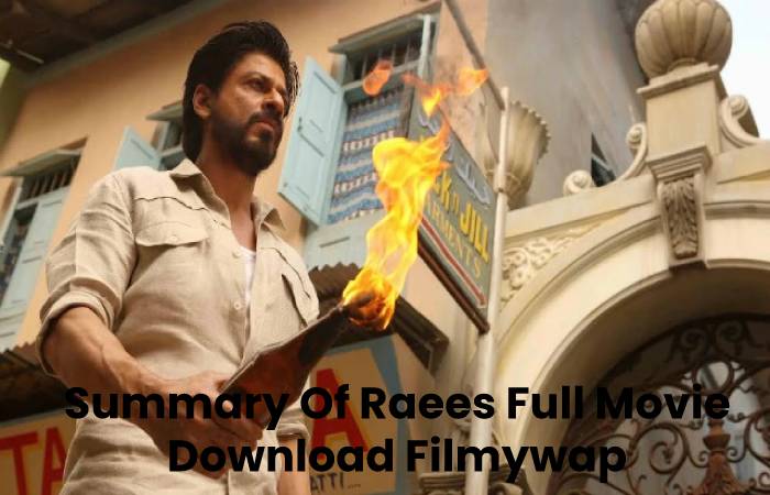 Summary Of Raees Full Movie Download Filmywap