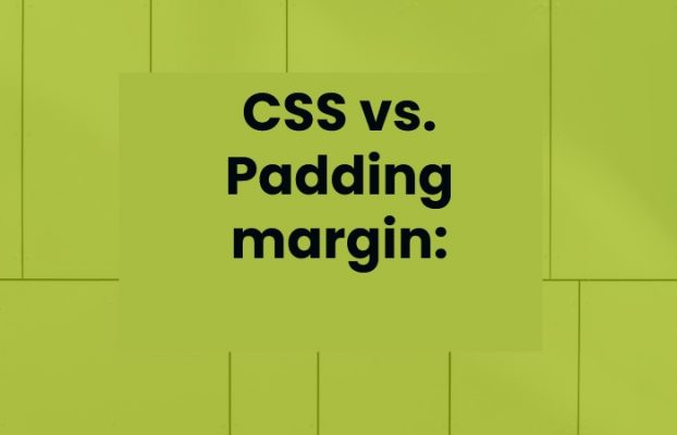 CSS vs. Padding Margin What's the Difference?- Bloomers Web