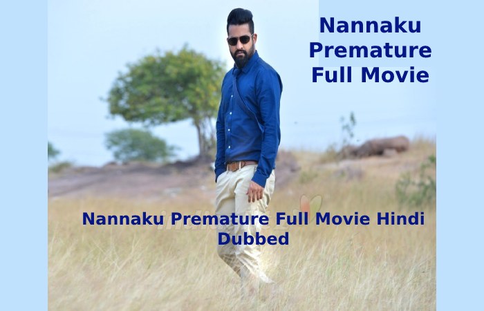 Nannaku Premature Full Movie Hindi Dubbed
