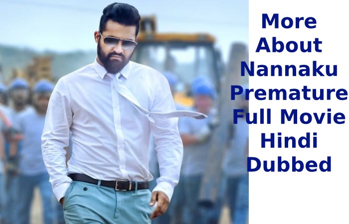 More About Nannaku Premature Full Movie Hindi Dubbed