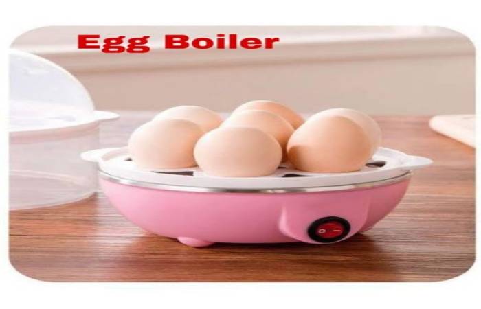Are Broiler Eggs Good For Your Health or Not 