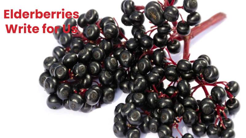 Elderberries Write for Us