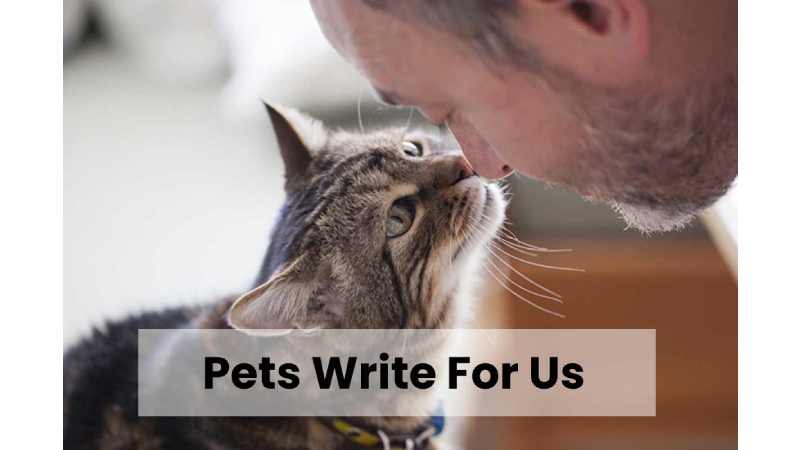 Pets Write For Us 