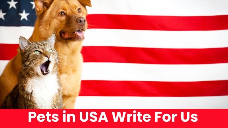 Pets in USA Write For Us (Guest Post):