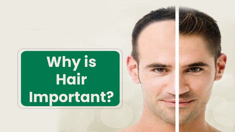 Why is Hair Important?