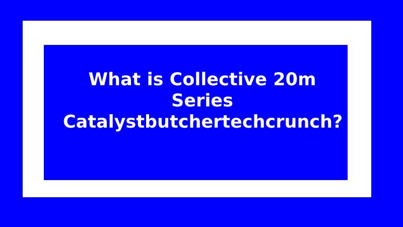 What is Collective 20m Series Catalystbutchertechcrunch?