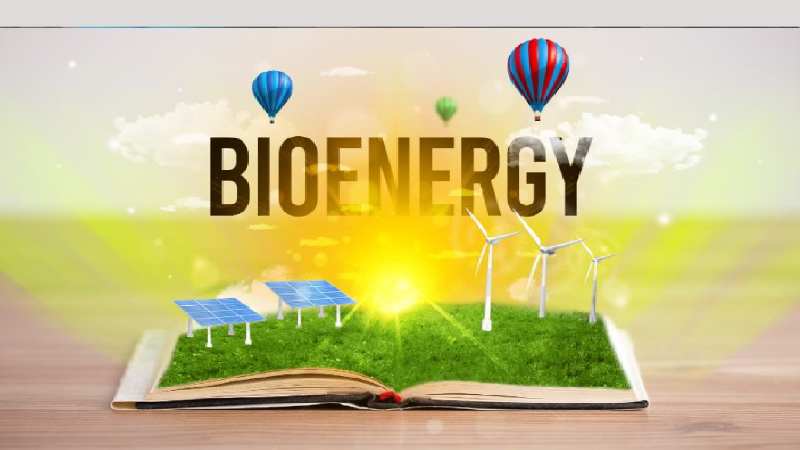 Status of Bioenergy