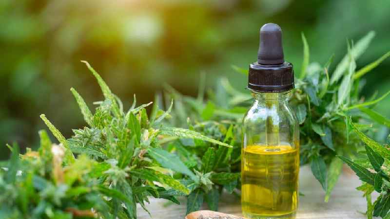 Define_ CBD Tincture vs. CBD Oil