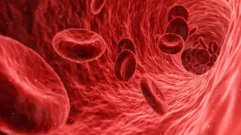 Rajkotupdates.News_ Emm-Negative-Rare-Blood-Group-Found-In-Rajkot-Man-11th-Such-Case-Worldwide 