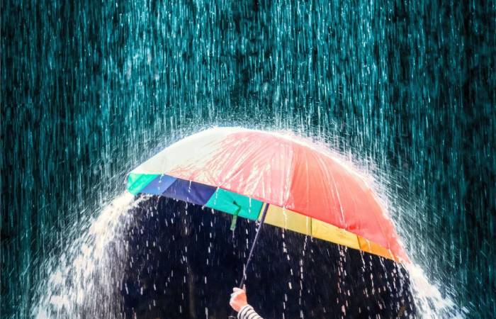 Exploring the Story Behind "Hoa ROI CUA Phat Nguyen Si Kha • Rainy Day Memories • 2023"