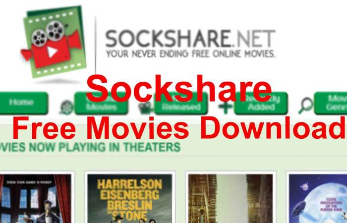 Steps for Downloading Videos from Sockshare