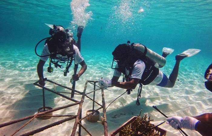 The Underwater Adventure